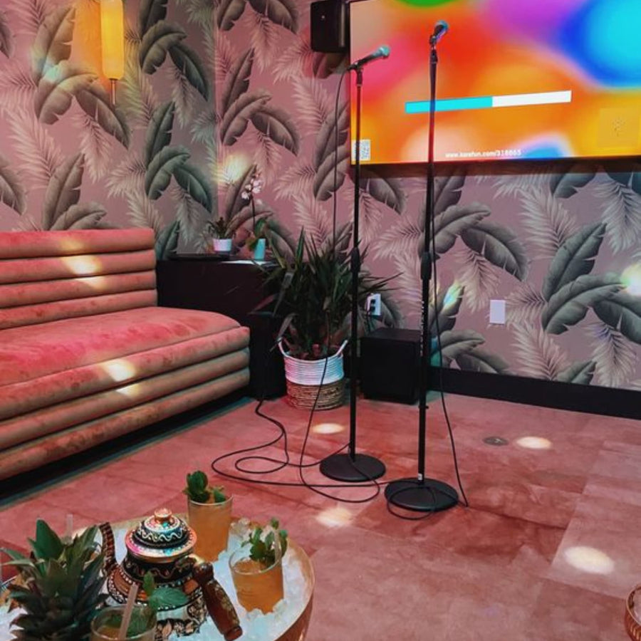 Karaoke set op locatie - Uitjesthuis